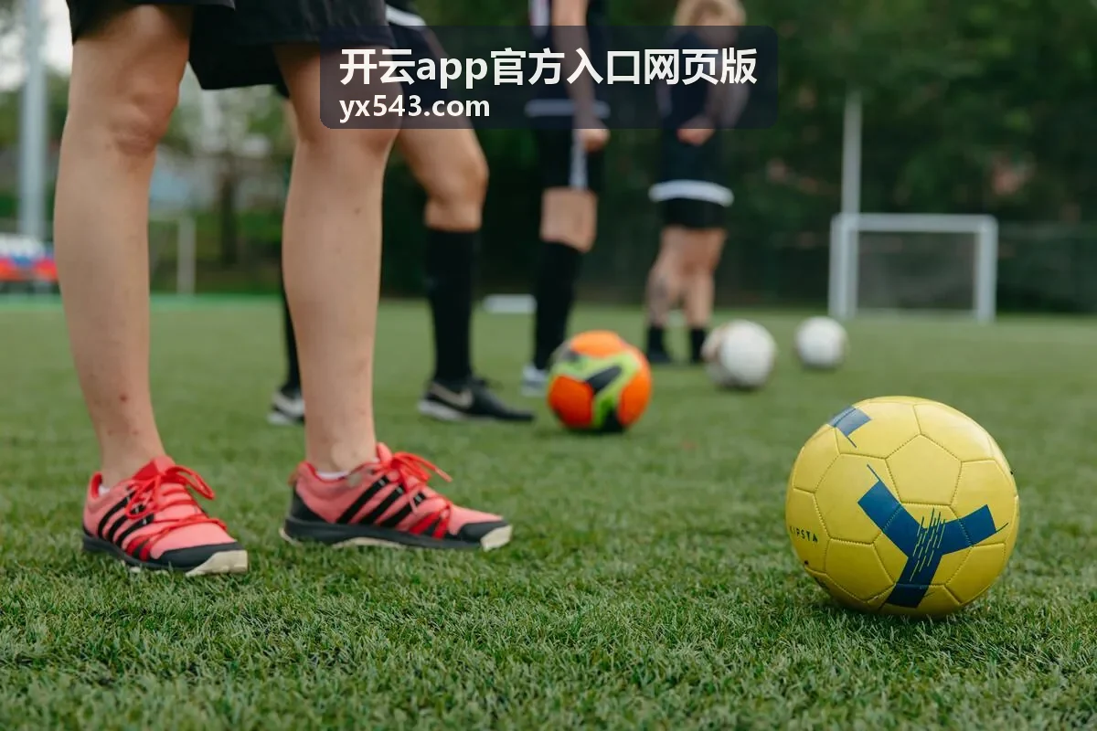 开云app官方入口网页版账号安全与使用帮助的设备核对界面示意